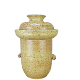 yellow ceramic fermentation pot on a white background